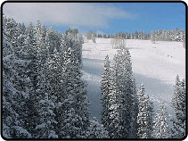 Breckenridge Ski Trips