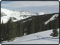 Breckenridge Ski Trips